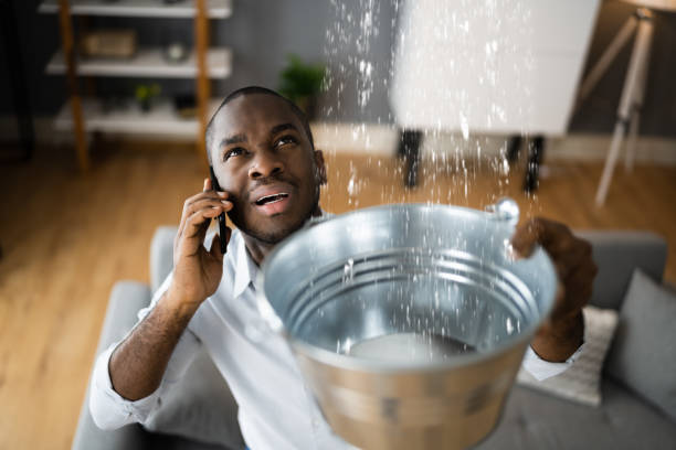 Best Fire Damage Restoration  in Louisville, GA