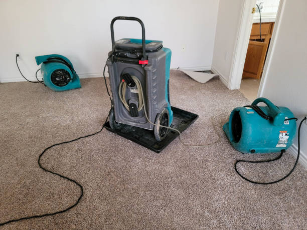Best Mold removal after water damage  in Louisville, GA