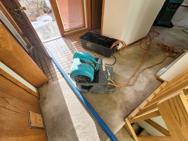 Best Water damage restoration specialists  in Louisville, GA