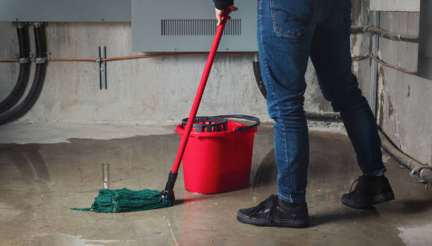 Best Sewage cleanup and water damage restoration  in Louisville, GA
