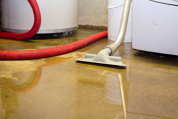 Best Carpet water damage restoration  in Louisville, GA