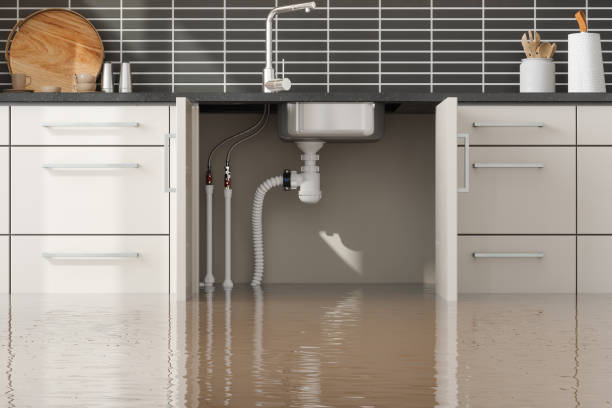 Best Flood damage cleanup  in Louisville, GA