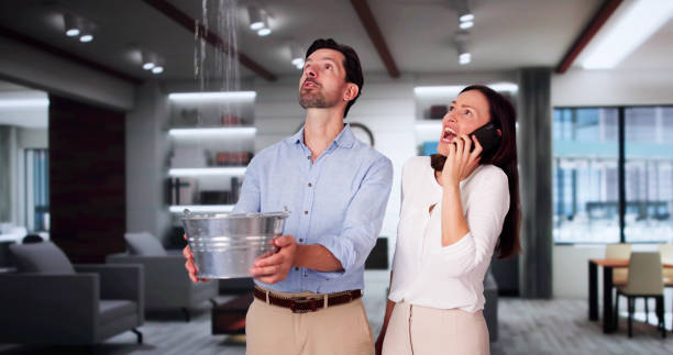 Best Flood damage cleanup  in Louisville, GA