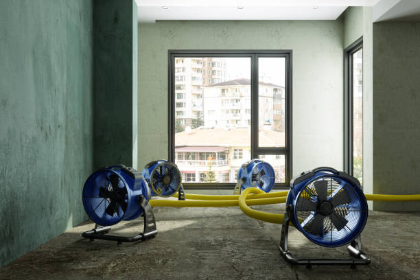 Best 24-hour water damage restoration  in Louisville, GA