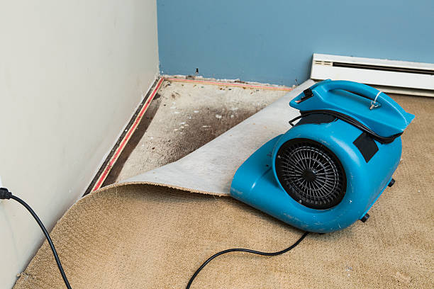 Best Emergency water damage restoration  in Louisville, GA